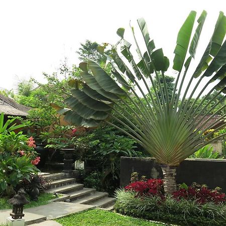 Villa Nirvana Ubud Zewnętrze zdjęcie