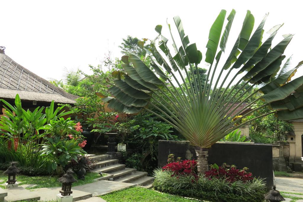 Villa Nirvana Ubud Zewnętrze zdjęcie